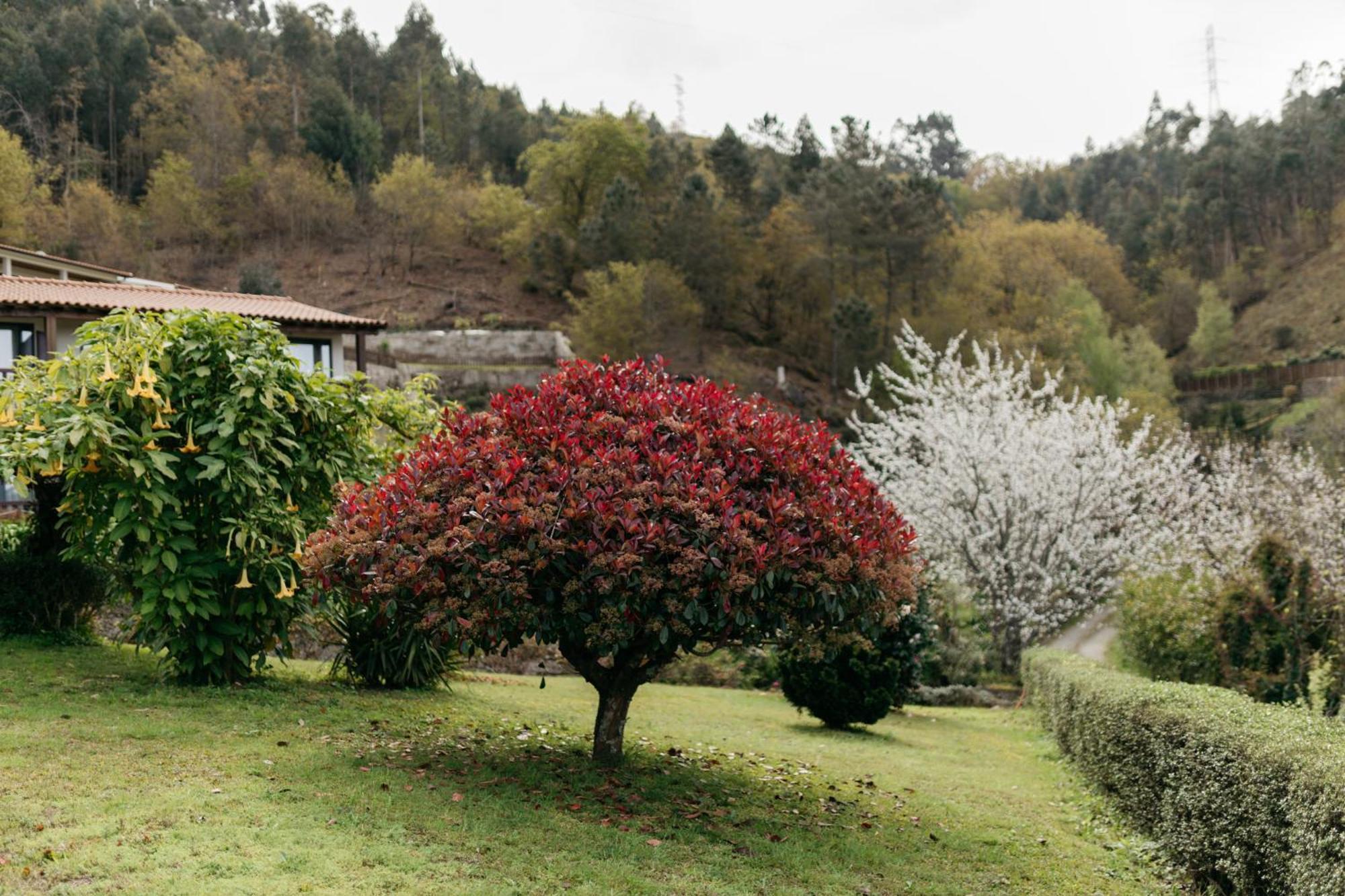 Hotel Quinta Do Bento Vieira do Minho Exterior foto